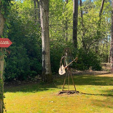 拉卡诺Le Petit Poulailler Au Beau Milieu Des Pins别墅 外观 照片
