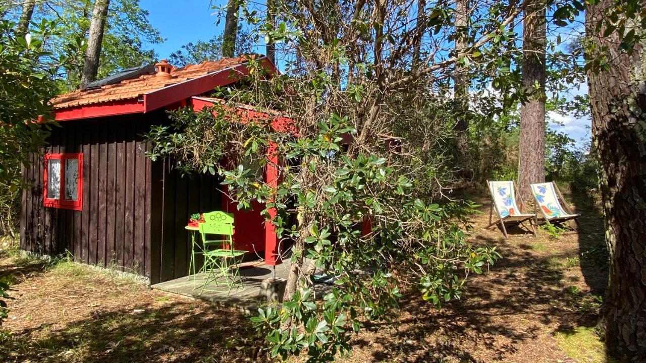拉卡诺Le Petit Poulailler Au Beau Milieu Des Pins别墅 外观 照片