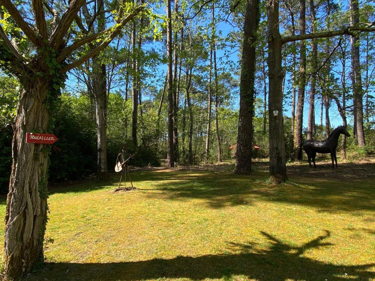 拉卡诺Le Petit Poulailler Au Beau Milieu Des Pins别墅 外观 照片