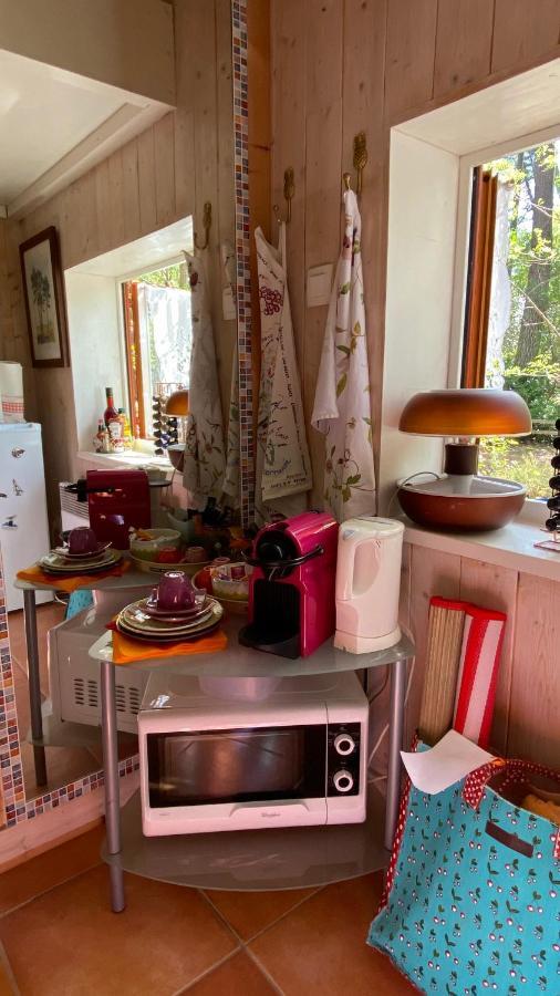 拉卡诺Le Petit Poulailler Au Beau Milieu Des Pins别墅 外观 照片