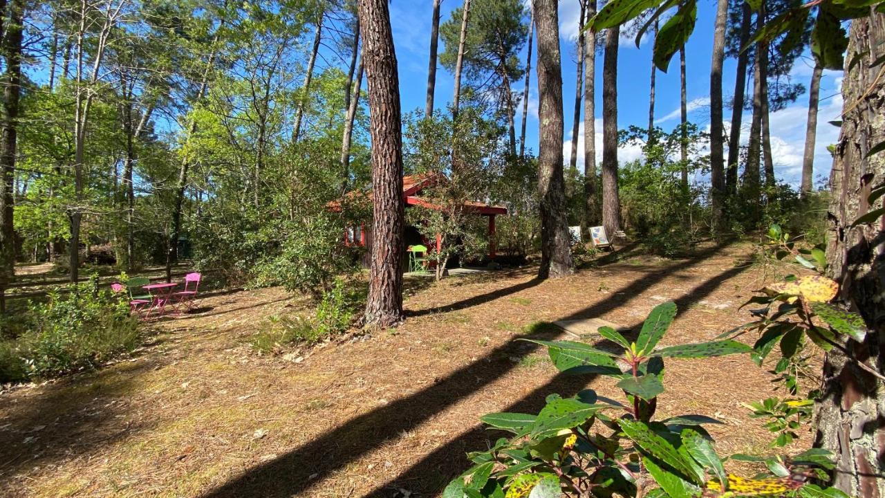 拉卡诺Le Petit Poulailler Au Beau Milieu Des Pins别墅 外观 照片