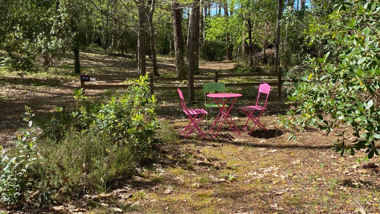 拉卡诺Le Petit Poulailler Au Beau Milieu Des Pins别墅 外观 照片
